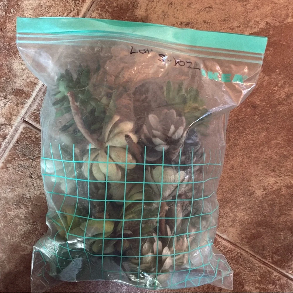 Lot- S-200…Artificial Succulents